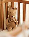 Jollein Plush Toy with Removable Baby - Kangaroots - Soft and Safe Soft Toys