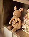 Jollein Plush Toy with Removable Baby - Kangaroots - Soft and Safe Soft Toys