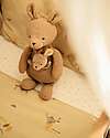 Jollein Plush Toy with Removable Baby - Kangaroots - Soft and Safe Soft Toys