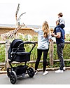 Joolz Joolz Day³ Quadro, Black - Pram + Pushchair Trio and Duo Strollers