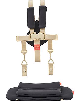 KAOS KLAPP 5-Point Belt + Cushion Set for Convertible Chair - Black Accessories for High Chairs