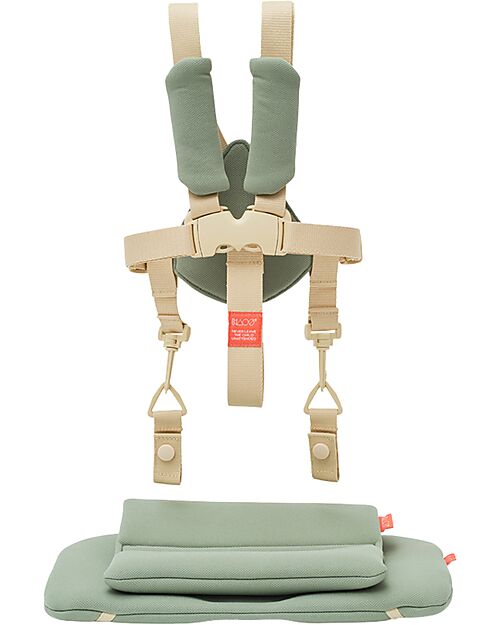 KAOS KLAPP 5-Point Belt Set + Cushion for Convertible Chair - Green Accessories for High Chairs