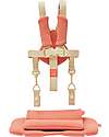 KAOS KLAPP 5-Point Belt Set + Cushion for Convertible Chair - Terracotta Accessories for High Chairs