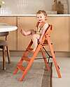 KAOS KLAPP 5-Point Belt Set + Cushion for Convertible Chair - Terracotta Accessories for High Chairs