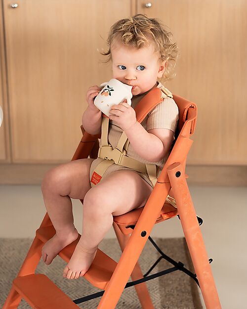 KAOS KLAPP 5-Point Belt Set + Cushion for Convertible Chair - Terracotta Accessories for High Chairs