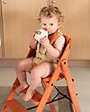 KAOS KLAPP 5-Point Belt Set + Cushion for Convertible Chair - Terracotta Accessories for High Chairs