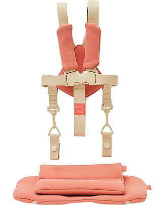 KAOS KLAPP 5-Point Belt Set + Cushion for Evolutionary Chair - Terracotta Accessories for High Chairs