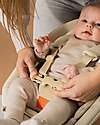 KAOS KLAPP Newborn Set - Moka Brown - With 5-point Harness Accessories for High Chairs