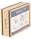 Kapla Kapla TomTecT-90 woods, 100 pliers - Fun and educational! Wooden Blocks and Construction Sets
