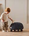 Kid's Concept Ride-On Hedgehog - Stella - Pleasant to the Touch - 18m+ Rides On