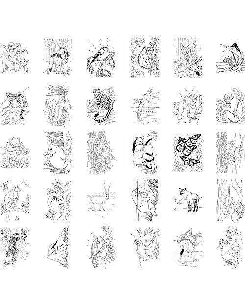 Kidywolf Light Pad for Tracing - Creativity and Precision for Kids - 8+ years Draw And Color