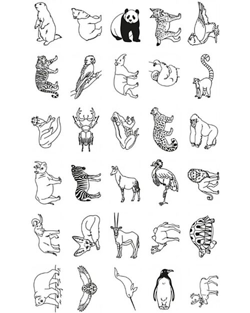 Kidywolf Refill for Kidydraw Mini - Animals and Pirates Draw And Color