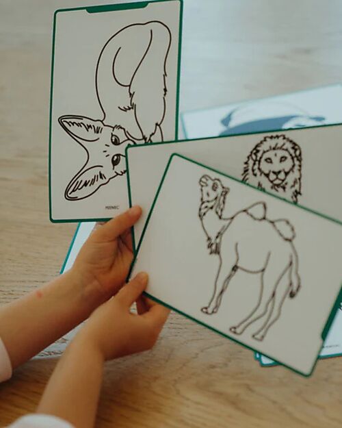 Kidywolf Refill for Kidydraw Mini - Animals and Pirates Draw And Color