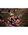 Kiimento Kiimento Digital Camera - Akito the Fox - Photo & Video - Ages 4+ Cameras