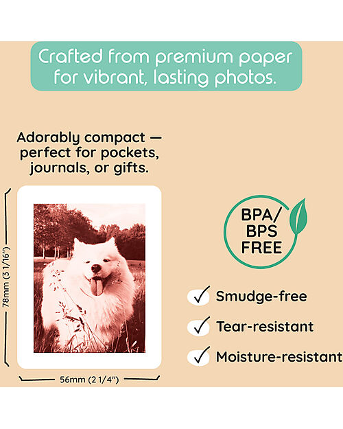 Kiimento Kiimento Ink-Free Print Cards for Model P2 Camera - 40 Pack Cameras