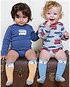 Kite Baby Long Socks, 2-pack - Fox, Blue/Ochre - Organic Cotton Socks