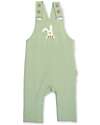 Kite Dungarees - Light Green - Bunny Print - with Front Pocket - Organic Cotton Dungarees