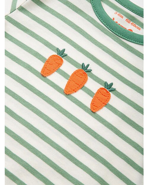 Kite Long Sleeve Bodysuit - Green Stripes - Carrots - Organic Cotton Long Sleeves Bodies