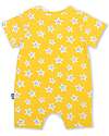 Kite Short Sleeve Rompers - Super Starfish - Yellow - 100% Organic Cotton Short Rompers