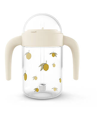 BIBS Baby Bottle Complete Set - Sage - 110ml Recyclable and Dishwasher  safe! - New Design unisex (bambini)