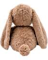 Label Label Pink Rabbit Plush Toy - Hazelnut - Large - 34 cm - 0+ Soft Toys