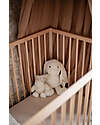 Label Label Rabbit Rosa Soft Toy - Ivory - Big Soft Toys