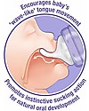 Lansinoh Pack of 2 Bottles - Natural Wave Teat - 240 ml - From Birth - BPA and BPS free Baby Bottles