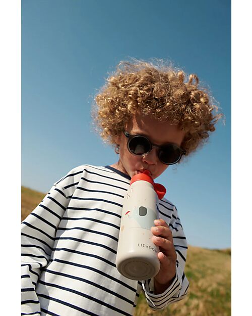 Liewood Darla Sunglasses 4-10 Y-Whale Blue transparent Sunglasses