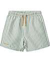 Liewood Duke Board Shorts - Peppermint and Crisp White Swimming Trunks