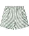 Liewood Duke Board Shorts - Peppermint and Crisp White Swimming Trunks