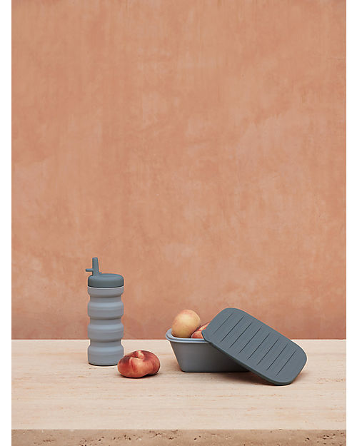 Liewood Franklin Foldable Lunch Box - Sea Blue and Whale Blue mix Snack Boxes