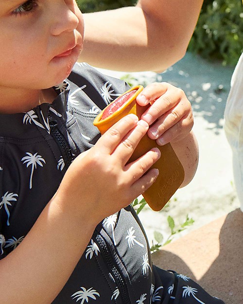 Liewood Malik Mini Set of 6 Ice Molds - Dino/Dusty Mint Multi Mix - Silicone Kitchen accessories