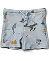 Liewood Otto Swim Pants - Sea Creatures Mix - UPF 50+ Swimming Trunks