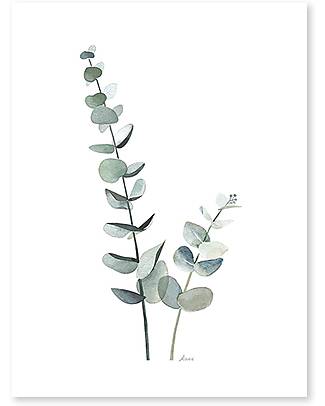 Lilipinso Art print (30x40 cm) - Eucalyptus foliage Wall Decorations