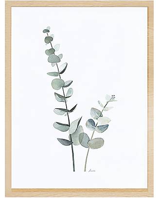 Lilipinso Framed art print (30x40 cm) - Eucalyptus foliage Wall Decorations