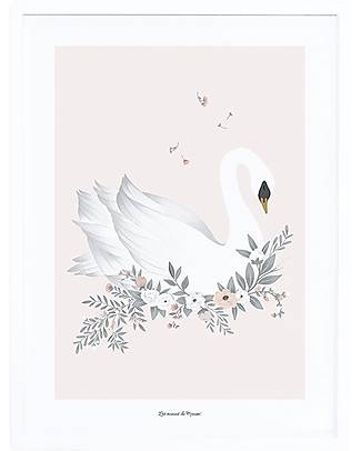 Lilipinso Framed art print (30x40 cm) - Swan Wall Decorations