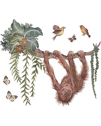 Lilipinso Wall decals special size - Utan: Young orangutan on his liana Wall Decorations