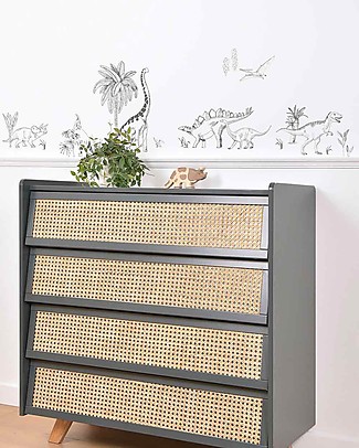 Lilipinso Wall Stickers in Vinyl - Dinosaurs and Plants Room Decorations