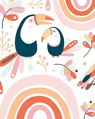 Lilipinso Wall Stickers in Vinyl - Pink Birds and Rainbows Room Decorations