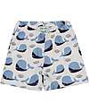 Lilly+Sid Set T-Shirt+Shorts - Whales - Blue/Orange/White - 100% GOTS Organic Cotton Sets And Co-Ords
