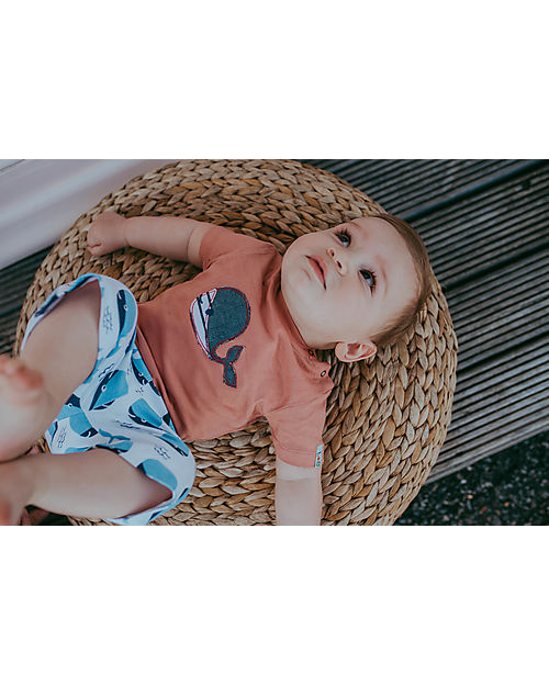 Lilly+Sid Set T-Shirt+Shorts - Whales - Blue/Orange/White - 100% GOTS Organic Cotton Sets And Co-Ords