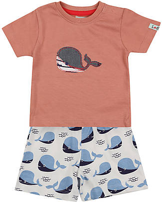 Lilly+Sid Set T-Shirt+Shorts - Whales - Blue/Orange/White - 100% GOTS Organic Cotton Shorts