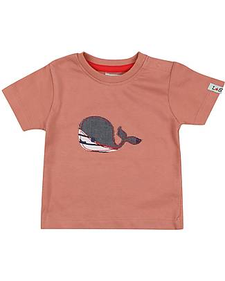 Lilly+Sid Set T-Shirt+Shorts - Whales - Blue/Orange/White - 100% GOTS Organic Cotton Shorts