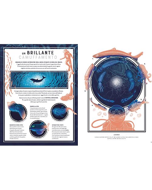 L'ippocampo Ragazzi Bagliori - Le Meraviglie Nascoste della Bioluminescenza - Jennifer Smith Books