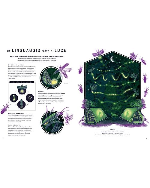 L'ippocampo Ragazzi Bagliori - Le Meraviglie Nascoste della Bioluminescenza - Jennifer Smith Books