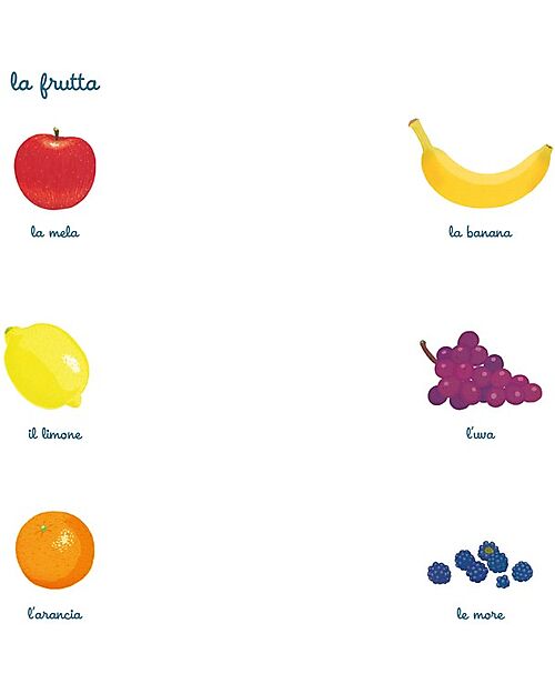 L'ippocampo Ragazzi I Piccoli Montessori - Il Mio Primo Vocabolario - Mizuho Fujisawa Books