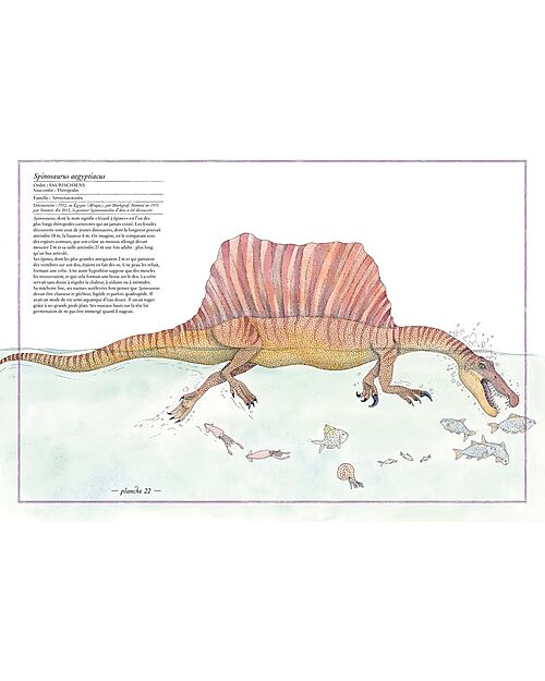 L'ippocampo Ragazzi IIllustrated Inventory of Dinosaurs - Virginie Aladjidi and Emmanuelle Tchoukriel Books
