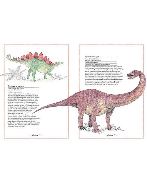 L'ippocampo Ragazzi IIllustrated Inventory of Dinosaurs - Virginie Aladjidi and Emmanuelle Tchoukriel Books