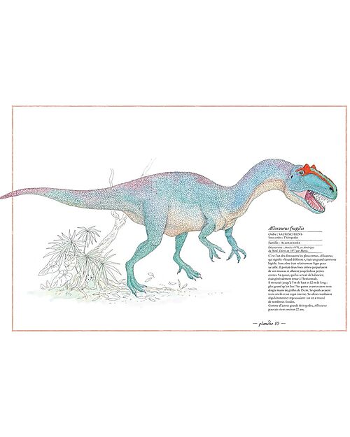 L'ippocampo Ragazzi IIllustrated Inventory of Dinosaurs - Virginie Aladjidi and Emmanuelle Tchoukriel Books