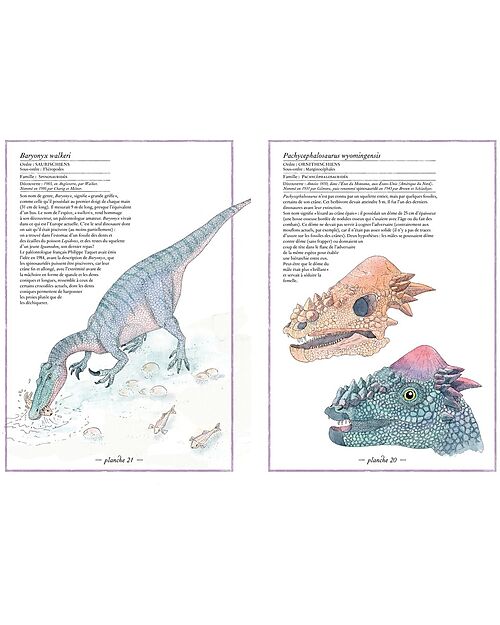L'ippocampo Ragazzi IIllustrated Inventory of Dinosaurs - Virginie Aladjidi and Emmanuelle Tchoukriel Books